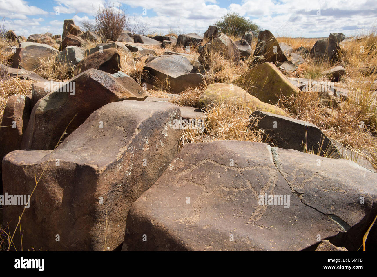 Incisione di roccia a GNU Kuil Rock-Art Center, Kimberley, Sud Africa Foto Stock