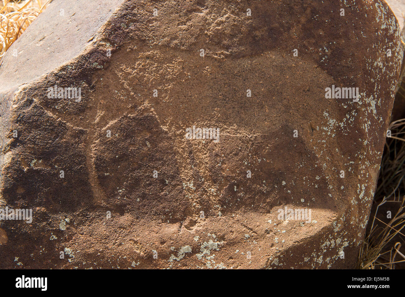Incisione di roccia a GNU Kuil Rock-Art Center, Kimberley, Sud Africa Foto Stock