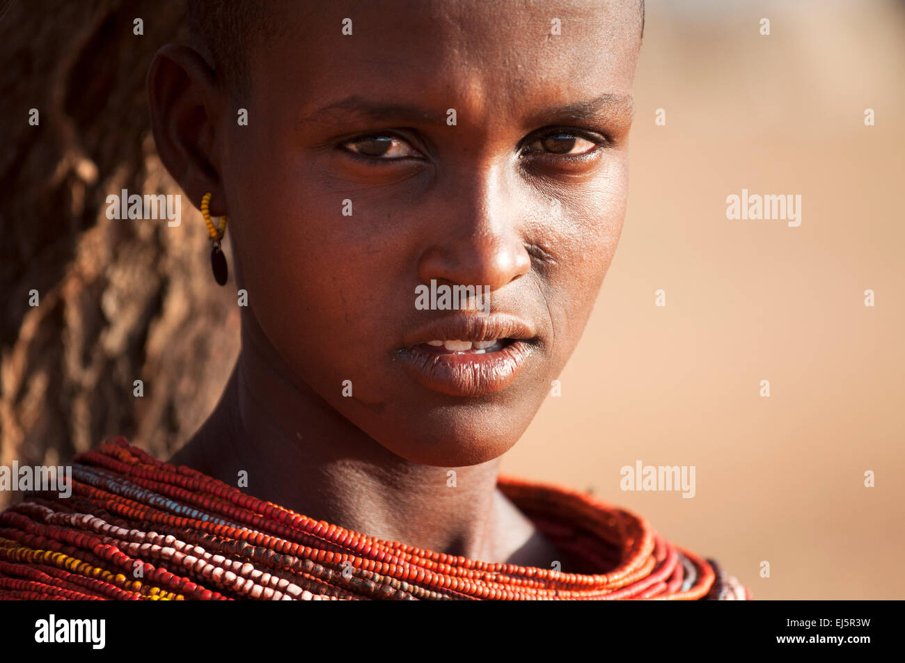 Close-up di una giovane donna Rendille, area di Korr, Kenya Foto Stock