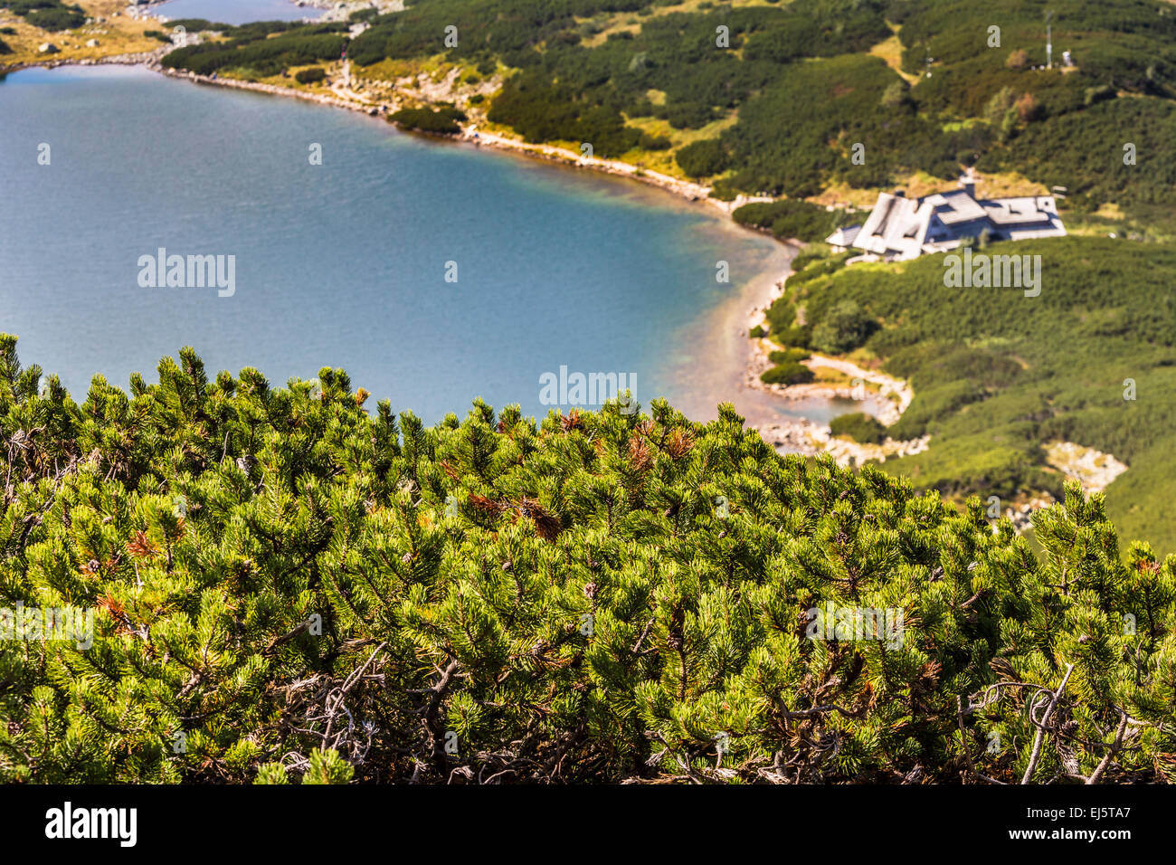 Lago di montagna in 5 laghi della valle di Tatra, Polonia. Foto Stock