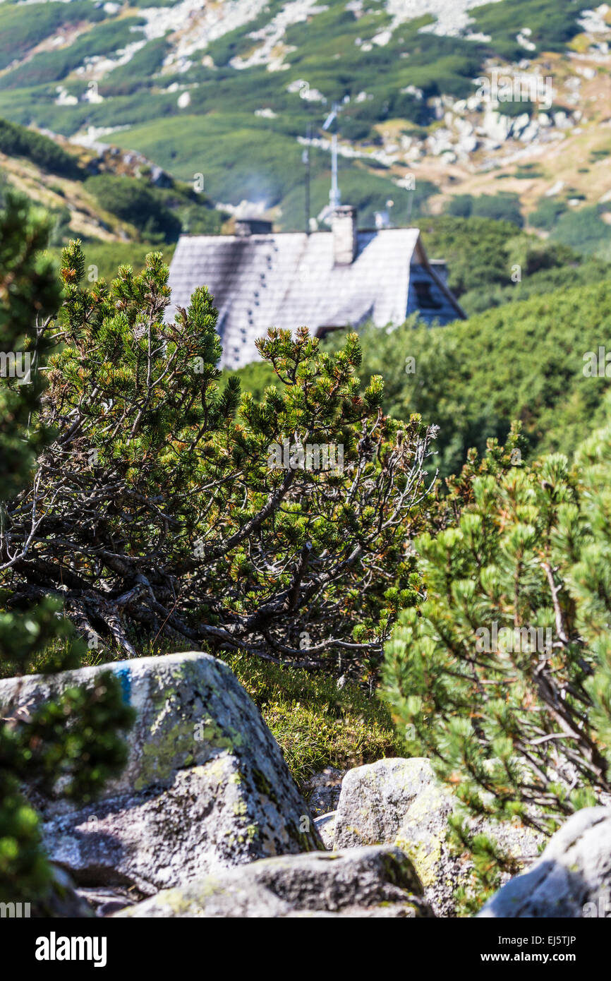 Lago di montagna in 5 laghi della valle di Tatra, Polonia. Foto Stock