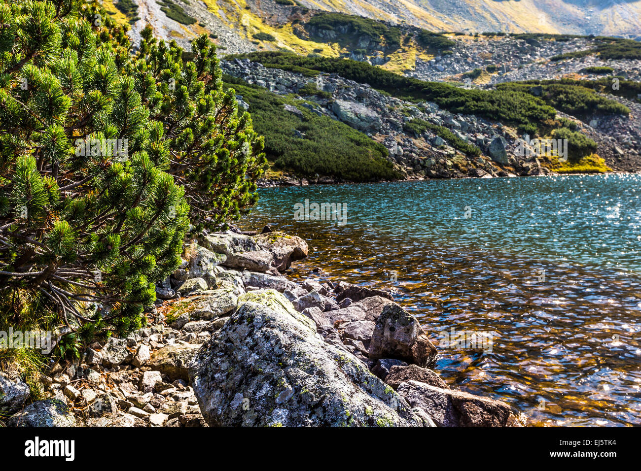 Lago di montagna in 5 laghi della valle di Tatra, Polonia. Foto Stock