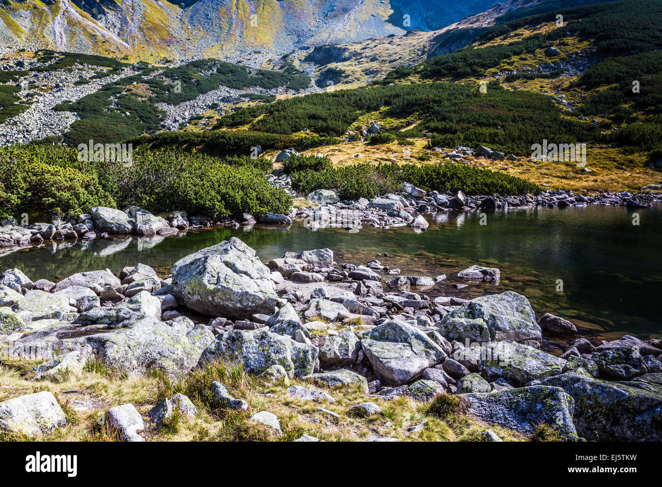 Lago di montagna in 5 laghi valley nei Monti Tatra Foto Stock