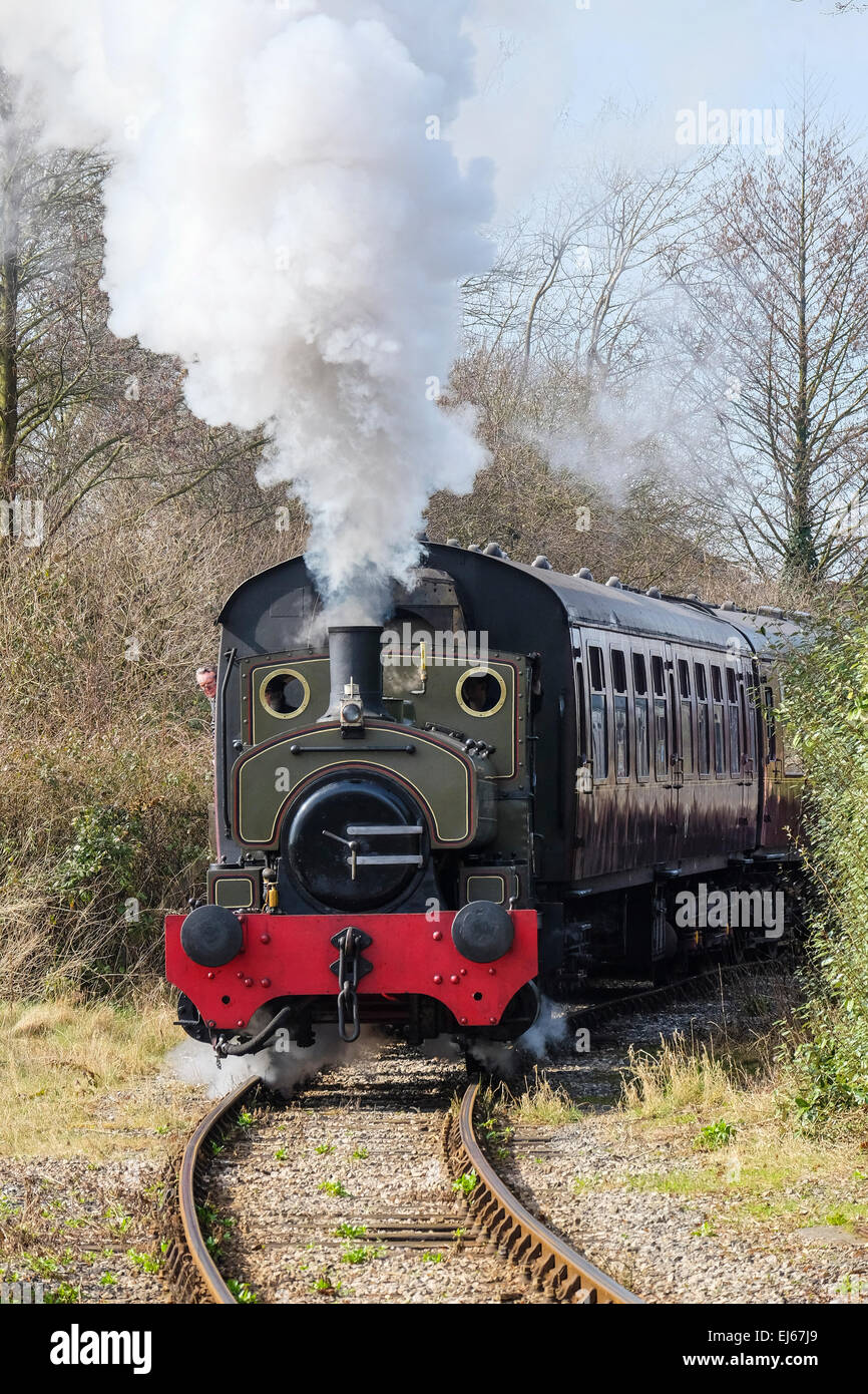 Preston, Lancashire: John Howe locomotiva a vapore in pista al Ribble Steam Railway. Credito: Paolo Melling/Alamy Live News Foto Stock