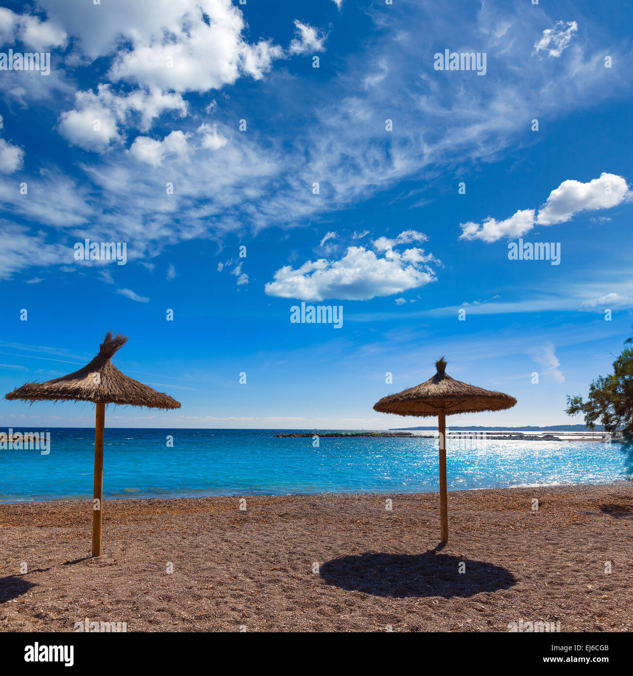 Maiorca Cala Bona spiaggia Son Servera Mallorca in Isole Baleari Spagna Foto Stock