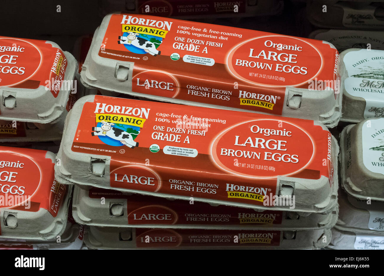 Le scatole di una dozzina di organica marrone grandi uova in un supermercato americano Foto Stock
