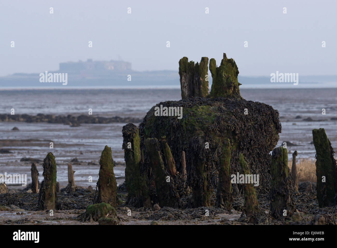 Fortificazione napoleonica abbandonato coperto in un mare di nebbia spessa Foto Stock