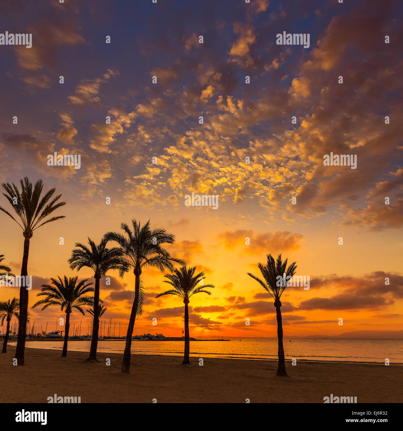 Maiorca El Arenal sArenal spiaggia tramonto vicino a Palma de Mallorca in Isole Baleari Spagna Foto Stock