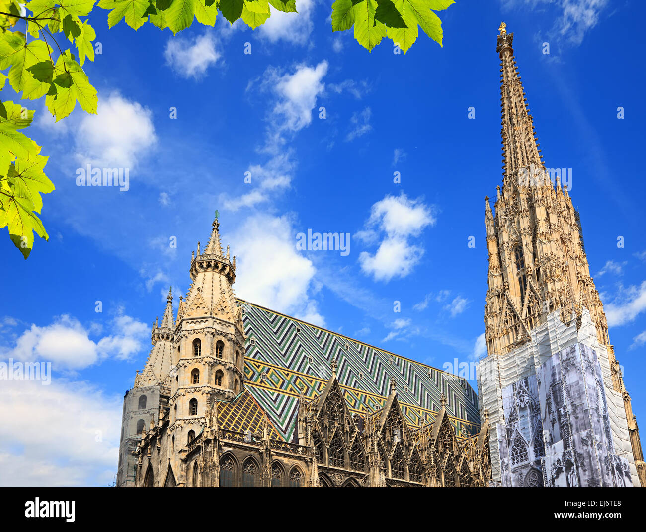 Cattedrale di Santo Stefano a Vienna Foto Stock