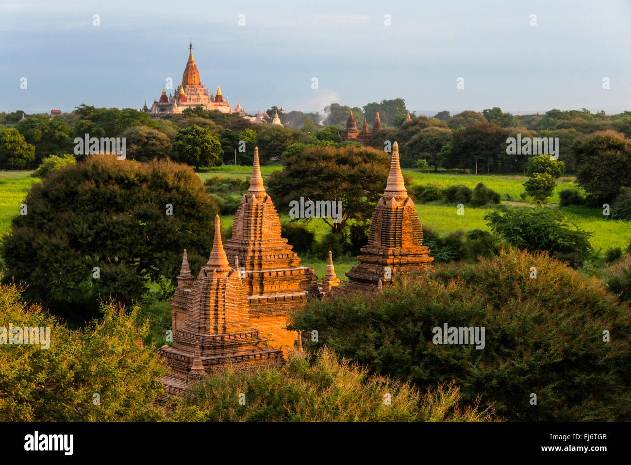 Antico tempio e la pagoda che sorge fuori della giungla di sunrise, Bagan, Mandalay Regione, Myanmar Foto Stock