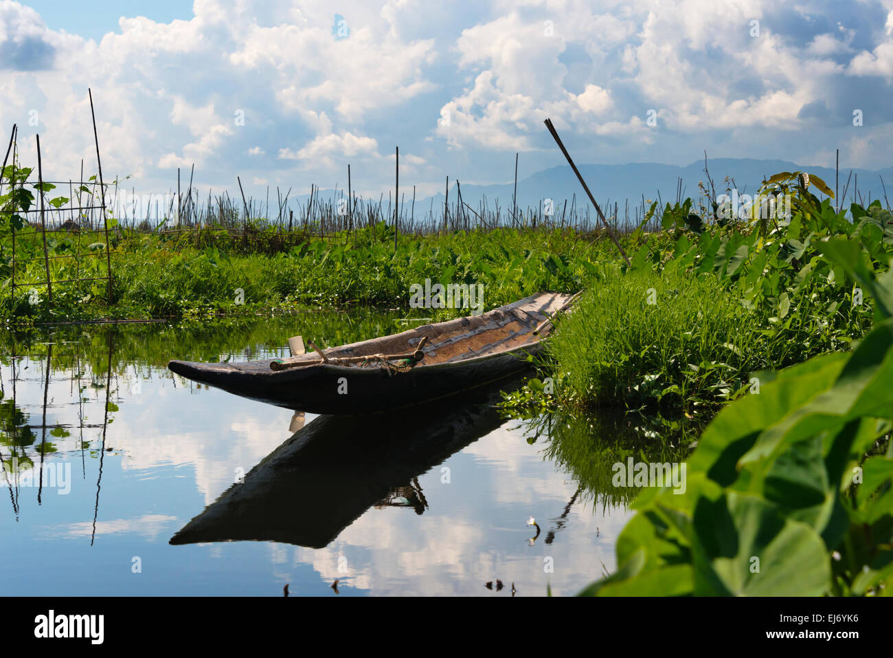 Canoa withe farm galleggiante sul Lago Inle, Stato Shan, Myanmar Foto Stock