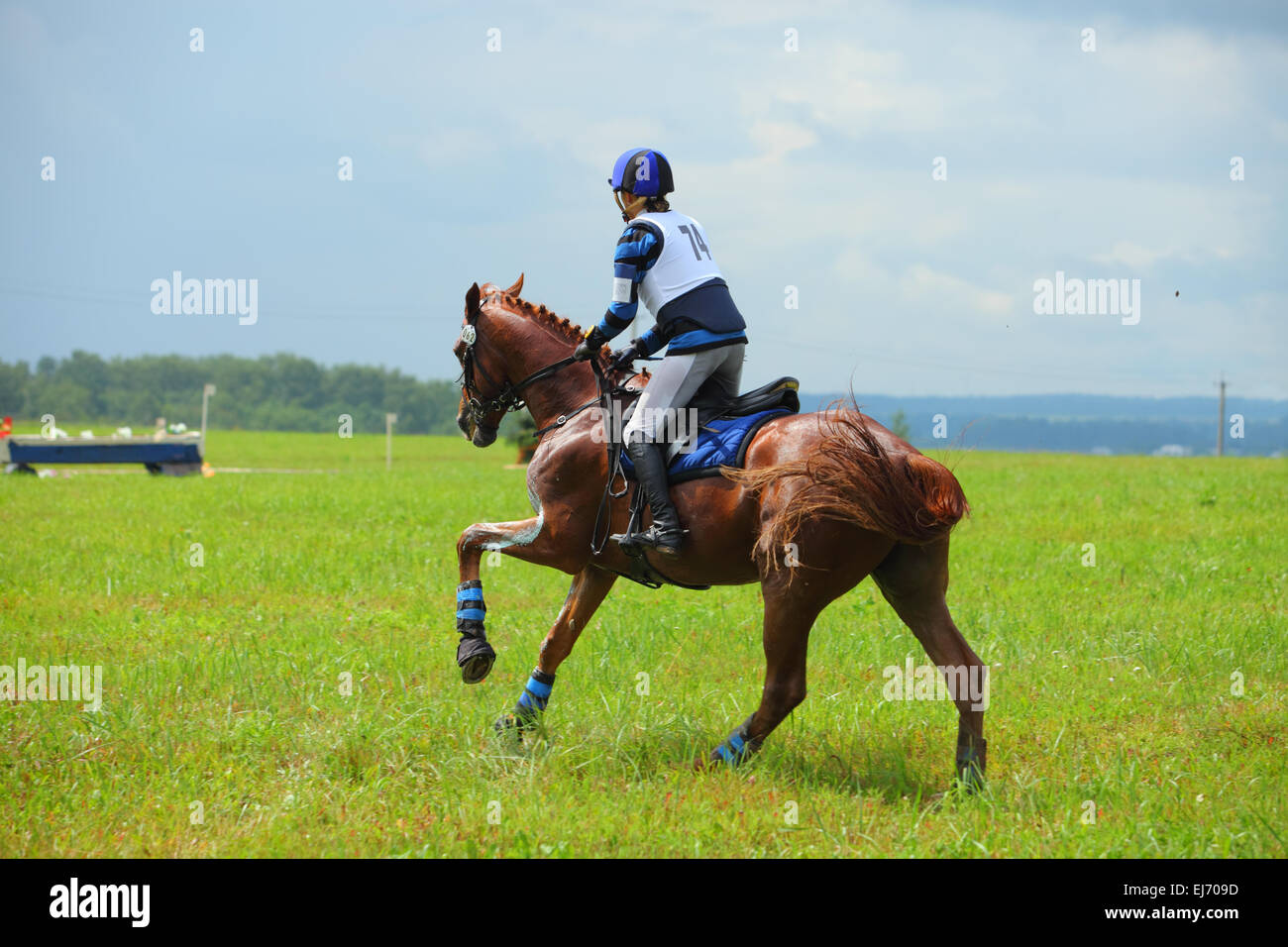 Cavallo e cavaliere sono a cavallo di un giorno 3-eventing, cross country Foto Stock