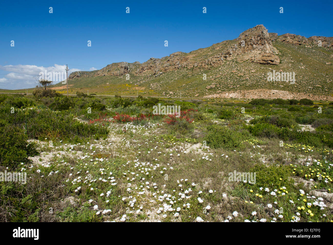 Lo scenario, Elands Bay, Sud Africa Foto Stock