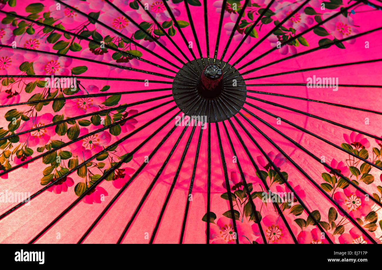 In stile giapponese tradizionale olio di rosa-ombrello di carta con un fiore di ciliegio motif, Giappone Foto Stock In stile giapponese tradizionale olio di rosa-ombrello di carta con un fiore di ciliegio motif, Giappone Foto Stock