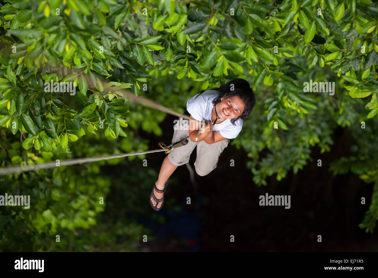 Un giornalista discende da una piattaforma di osservazione costruita per promuovere la conservazione della natura, su un albero vicino Sawai nel Seram settentrionale, Maluku, Indonesia. Foto Stock
