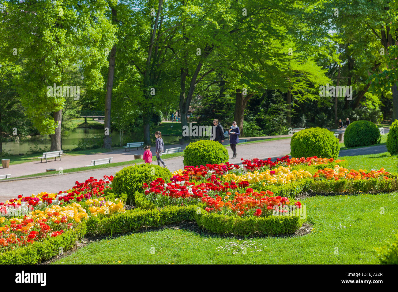 Letti di fiori Parc de l'Orangerie park Strasburgo Alsace Francia Europa Foto Stock