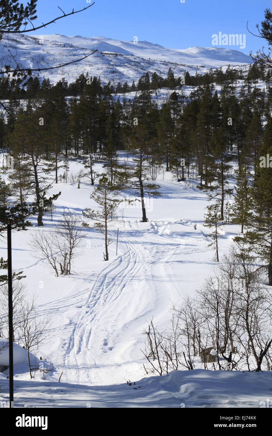 Aree di sport invernali in Norvegia Foto Stock