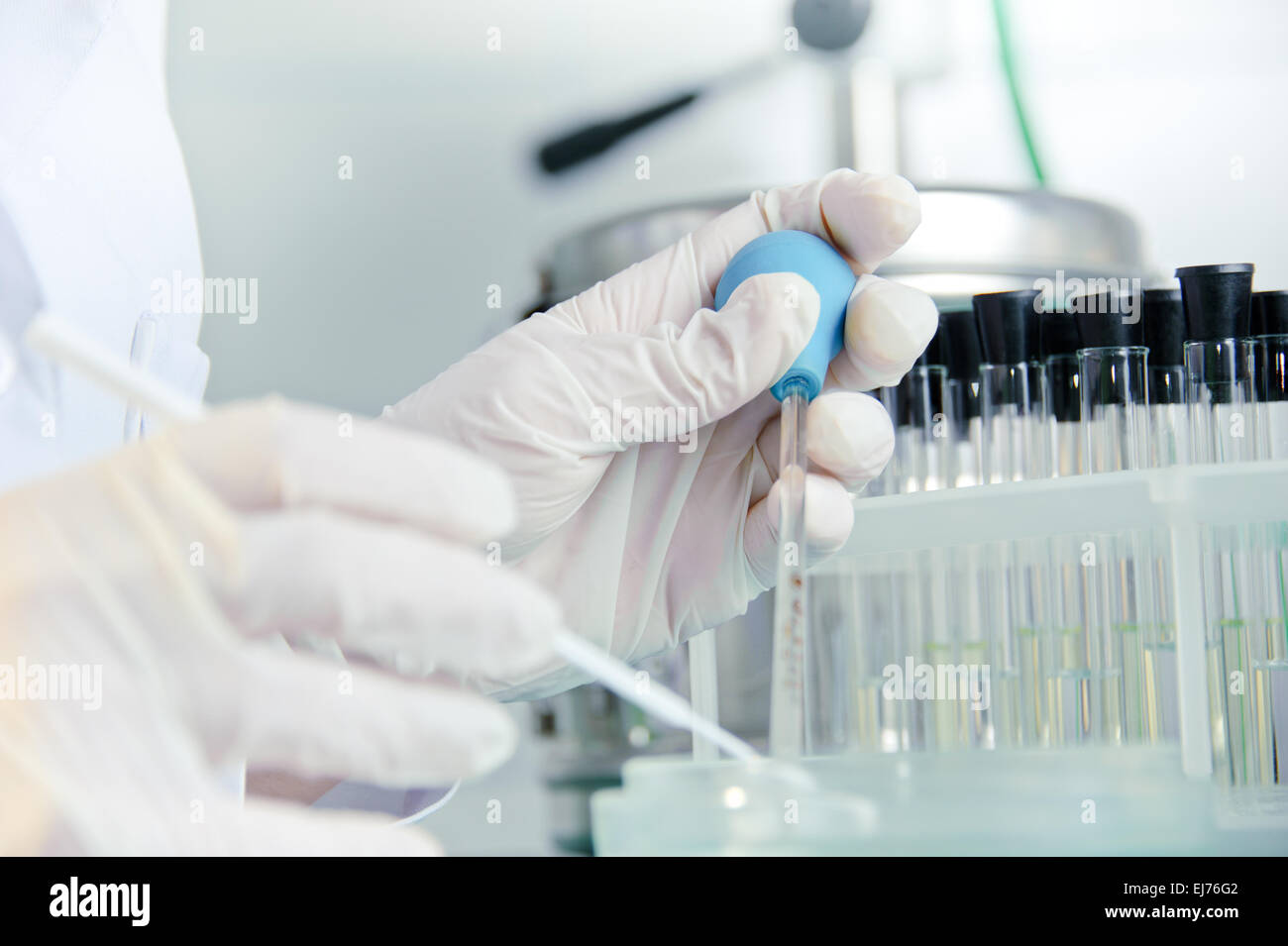 La ricerca scientifica. Foto Stock