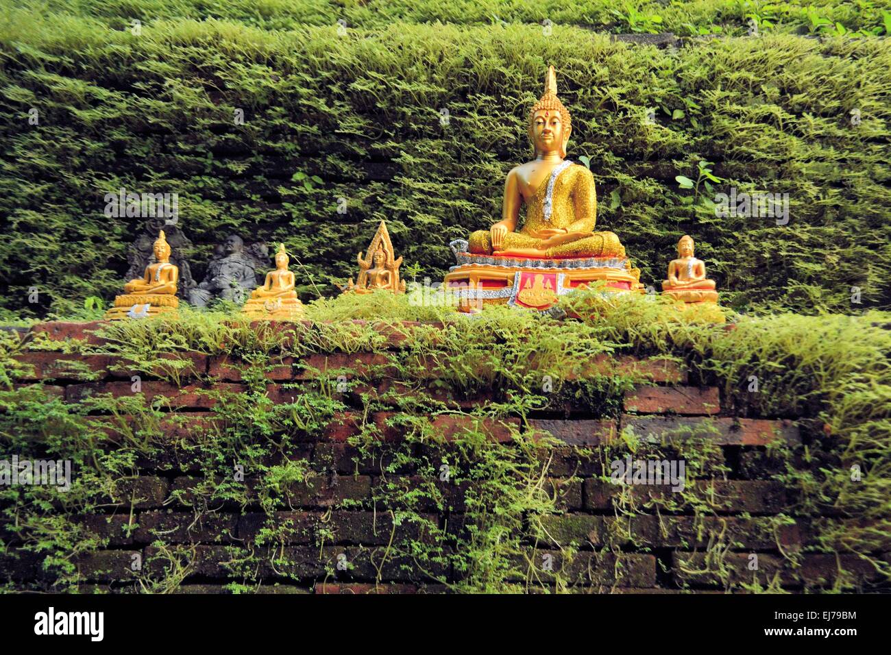 Golden Statue di Buddha con una parete ricoperta da moss Foto Stock
