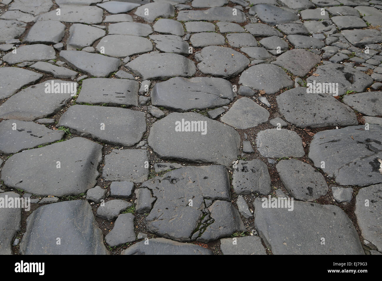 L'Italia. Roma. Via Sacra. Dettaglio pavimentazione in pietra. Vicino a Roman Forum. Foto Stock