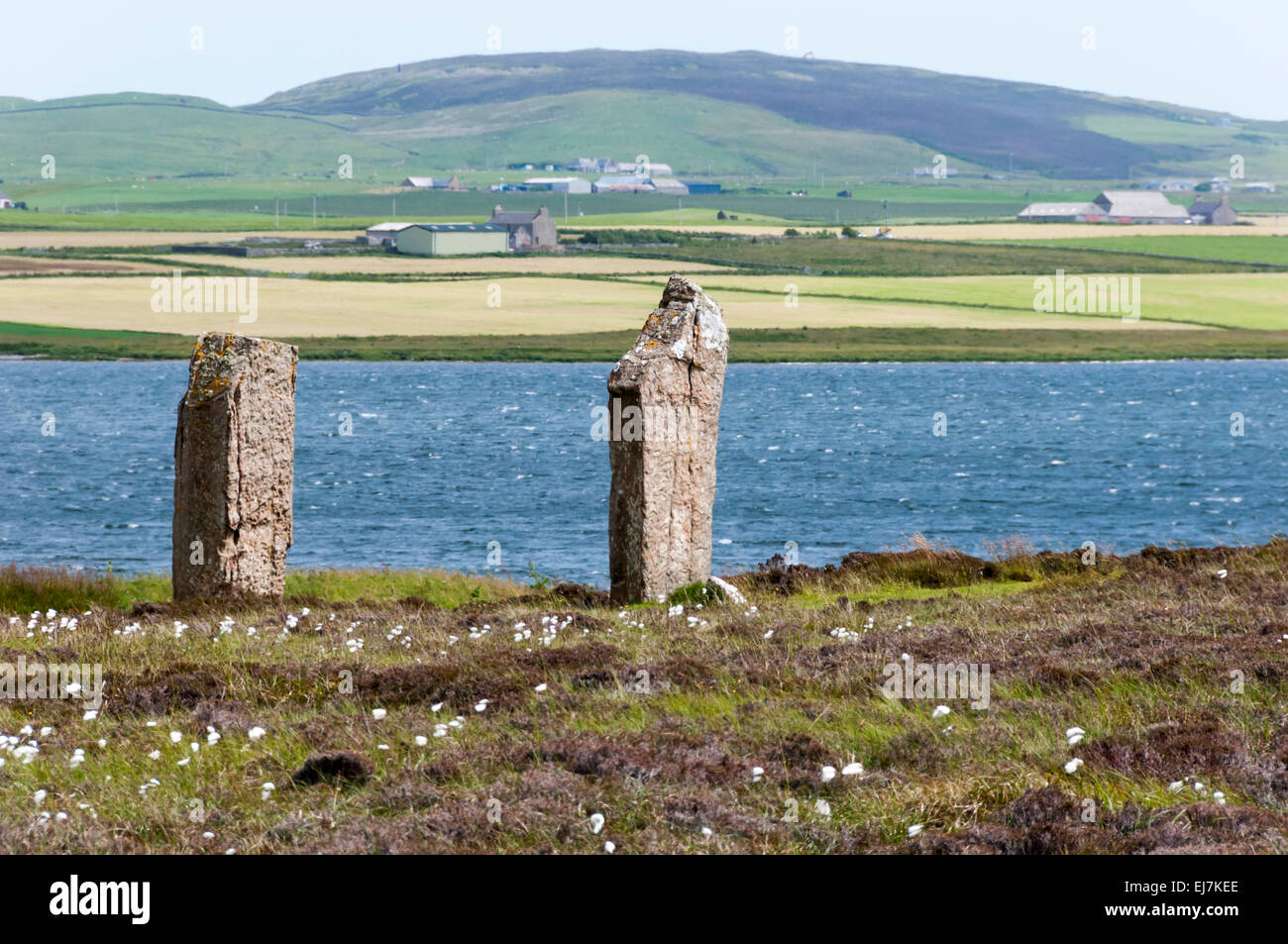 Due pietre permanente dall'anello di Brodgar vicino alla riva del lago di Harray su Orkney continentale. Foto Stock