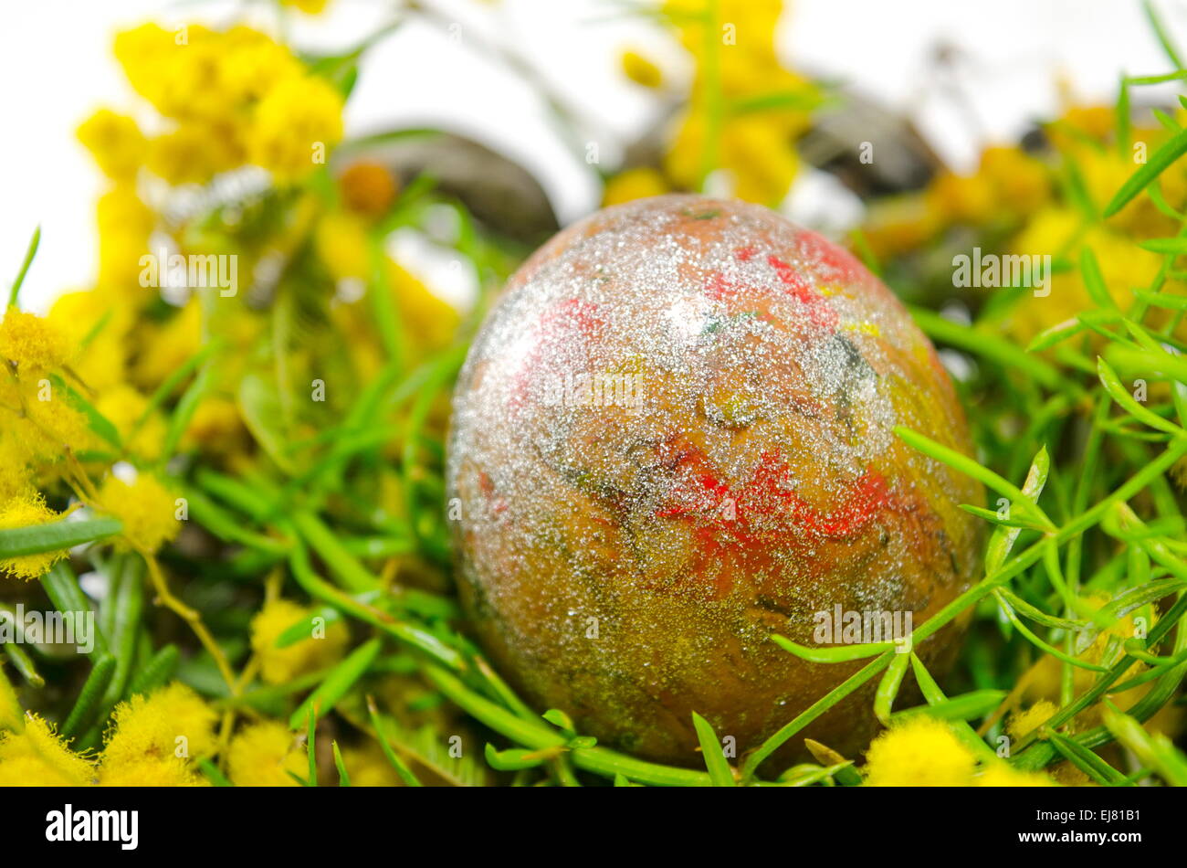 Dipinto a mano uovo di Pasqua e fiori di mimosa Foto Stock