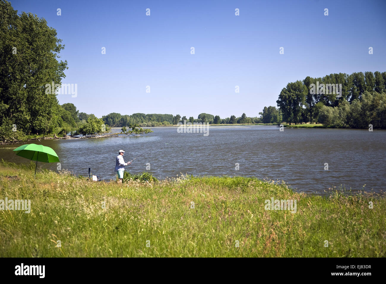 Paesaggio, Bislicher isola, Xanten, Germania Foto Stock