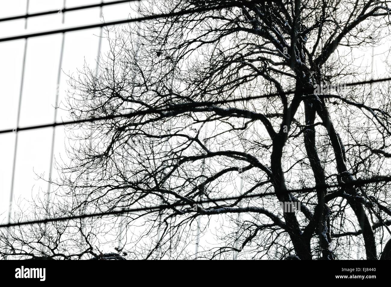 Mondo prima o dietro il recinto Foto Stock