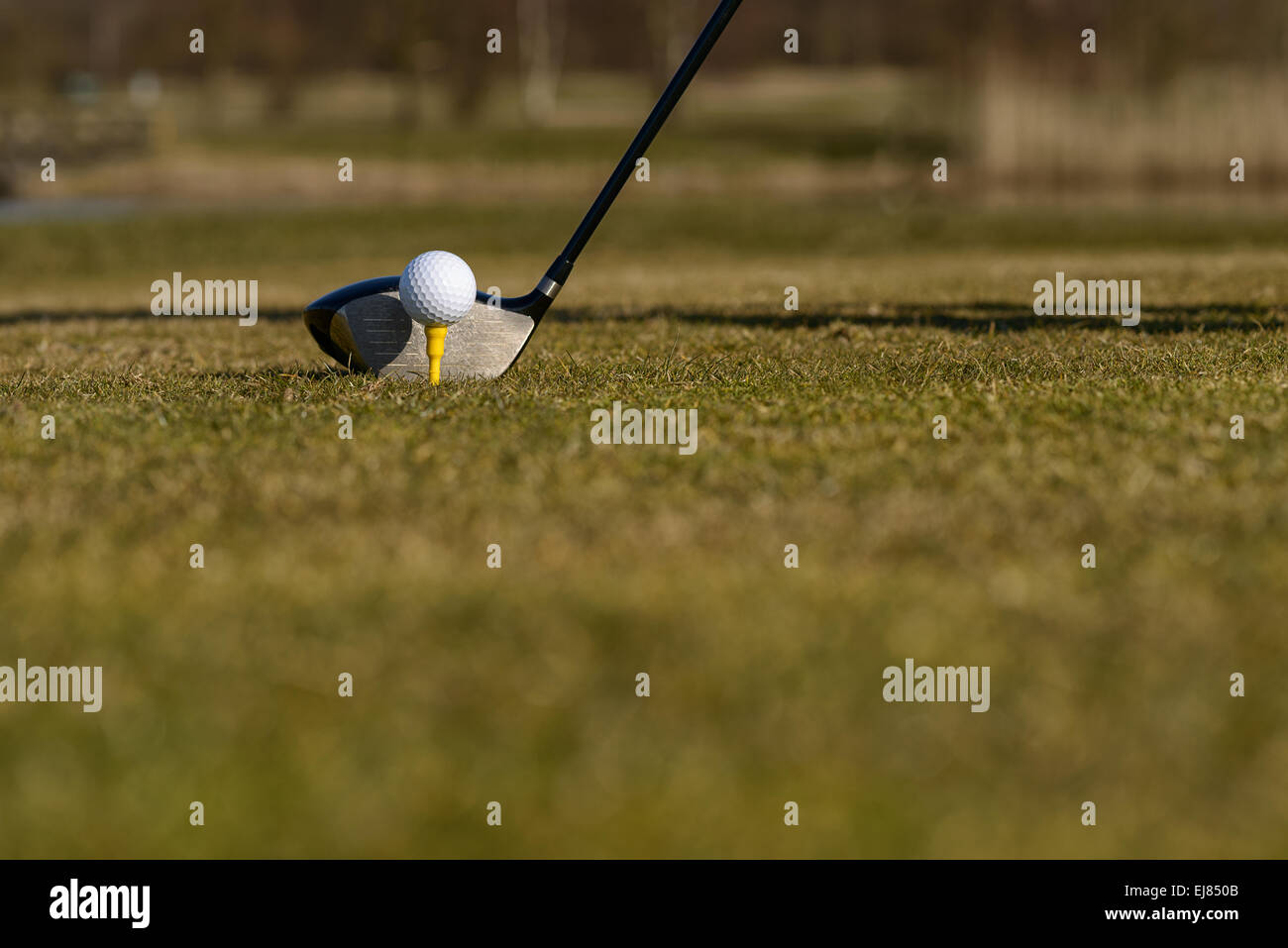 Immagine concettuale di un giocatore di golf di rinvio-off sul fairway con un basso angolo di visione della sfera su un raccordo a t e la testa del conducente Foto Stock