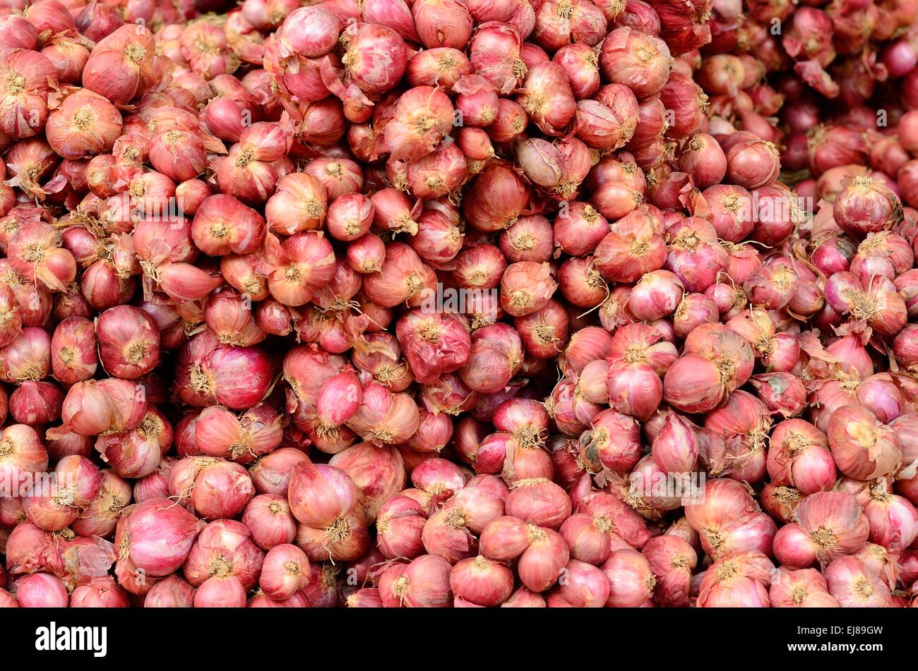 Molti di cipolla secca al mercato Tailandese Foto Stock