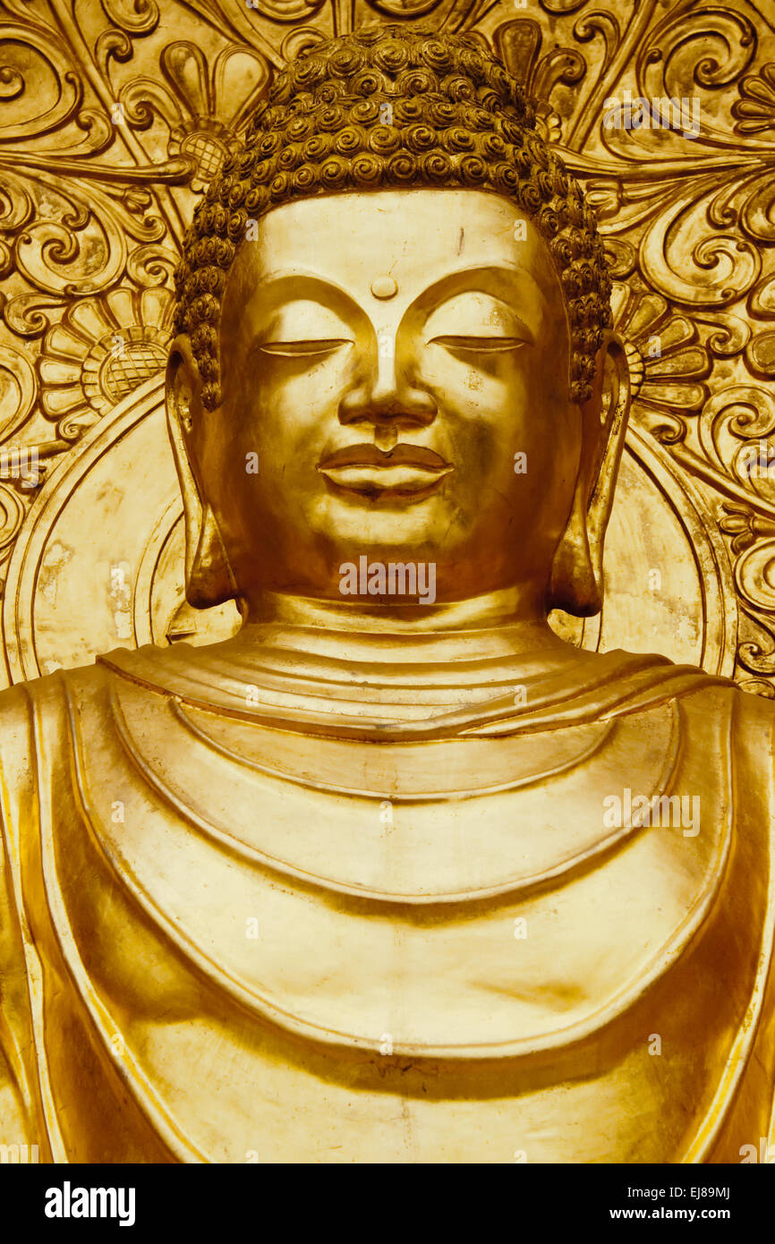 Bella statua del Buddha di Gautama di colore dorato a Darjeeling, India. Foto Stock