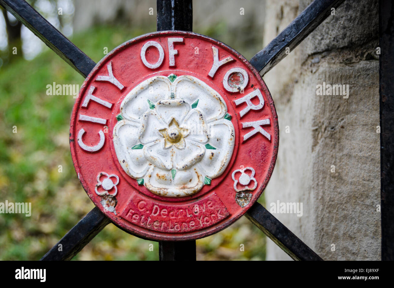 La Rosa Bianca di York emblema con città di York formulazione Foto Stock