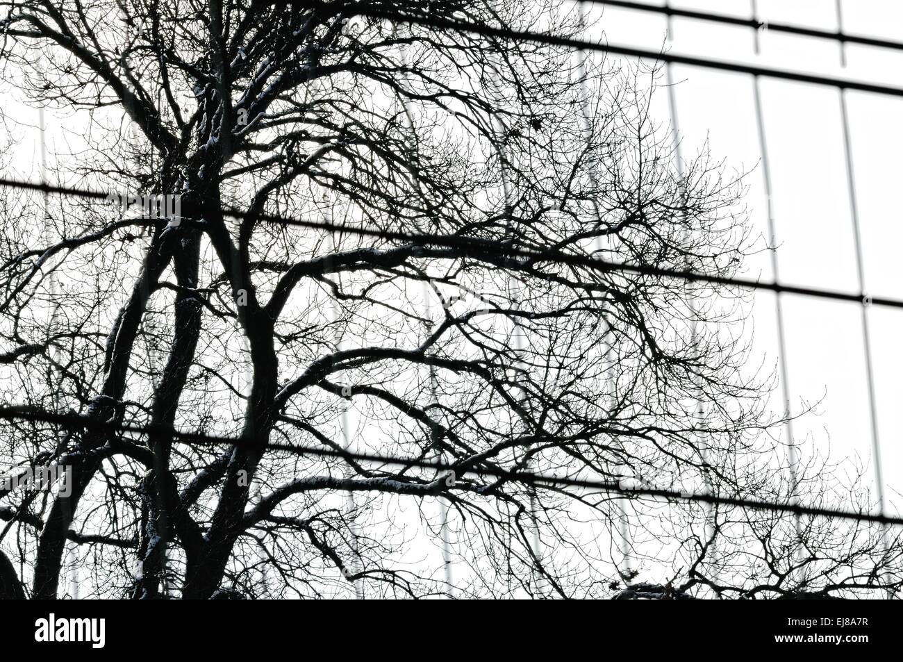 Il mondo prima e dietro la recinzione Foto Stock