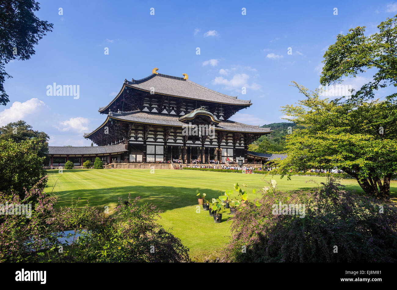 Il Tempio Todaiji Daibutsu-den Hall di Nara, Giappone su una bella giornata d'autunno Foto Stock