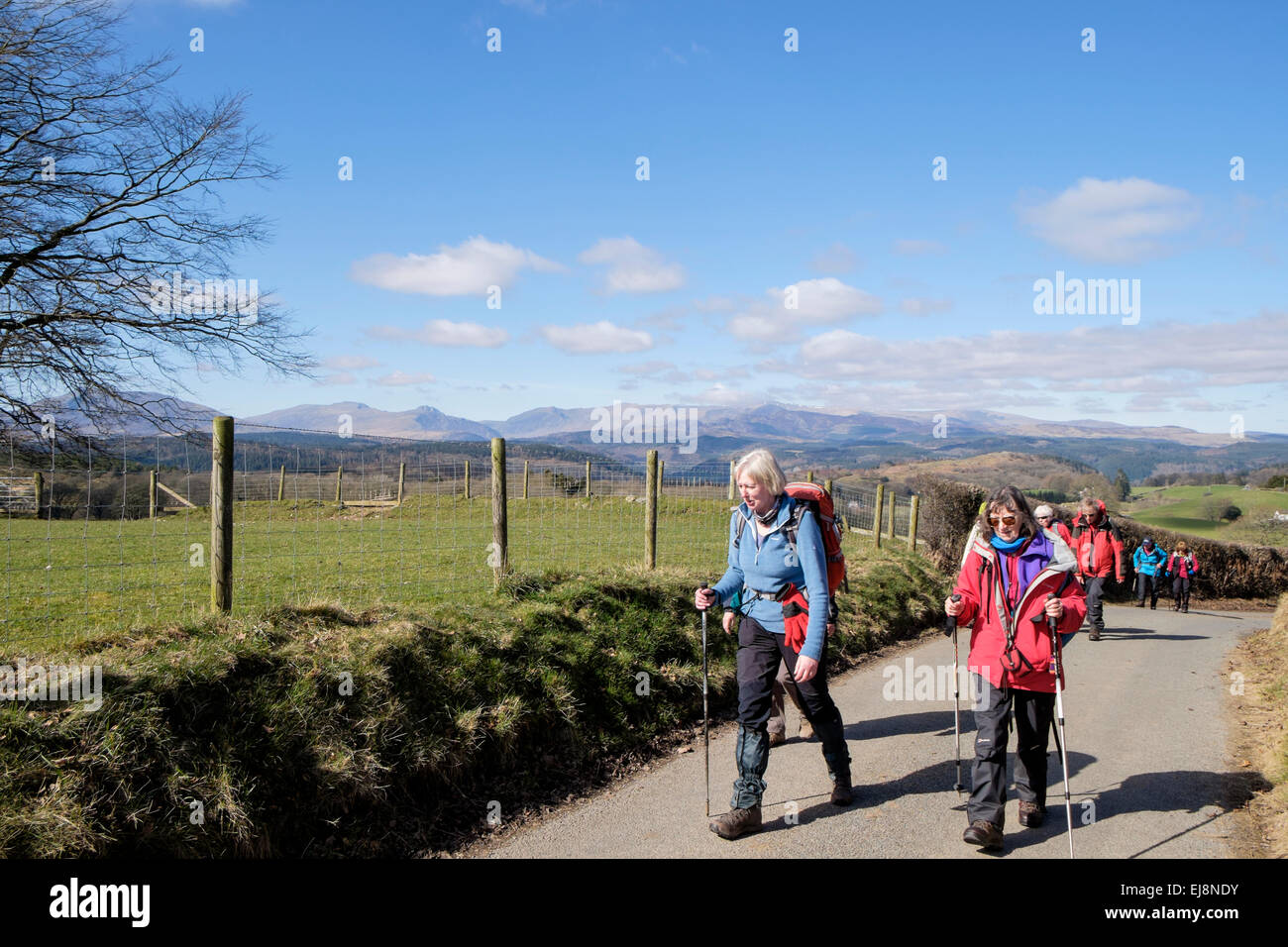 Gruppo di escursionisti a camminare su una strada di campagna con le colline di Snowdonia in distanza. Capel Garmon, Conwy, il Galles del Nord, Regno Unito, Gran Bretagna Foto Stock