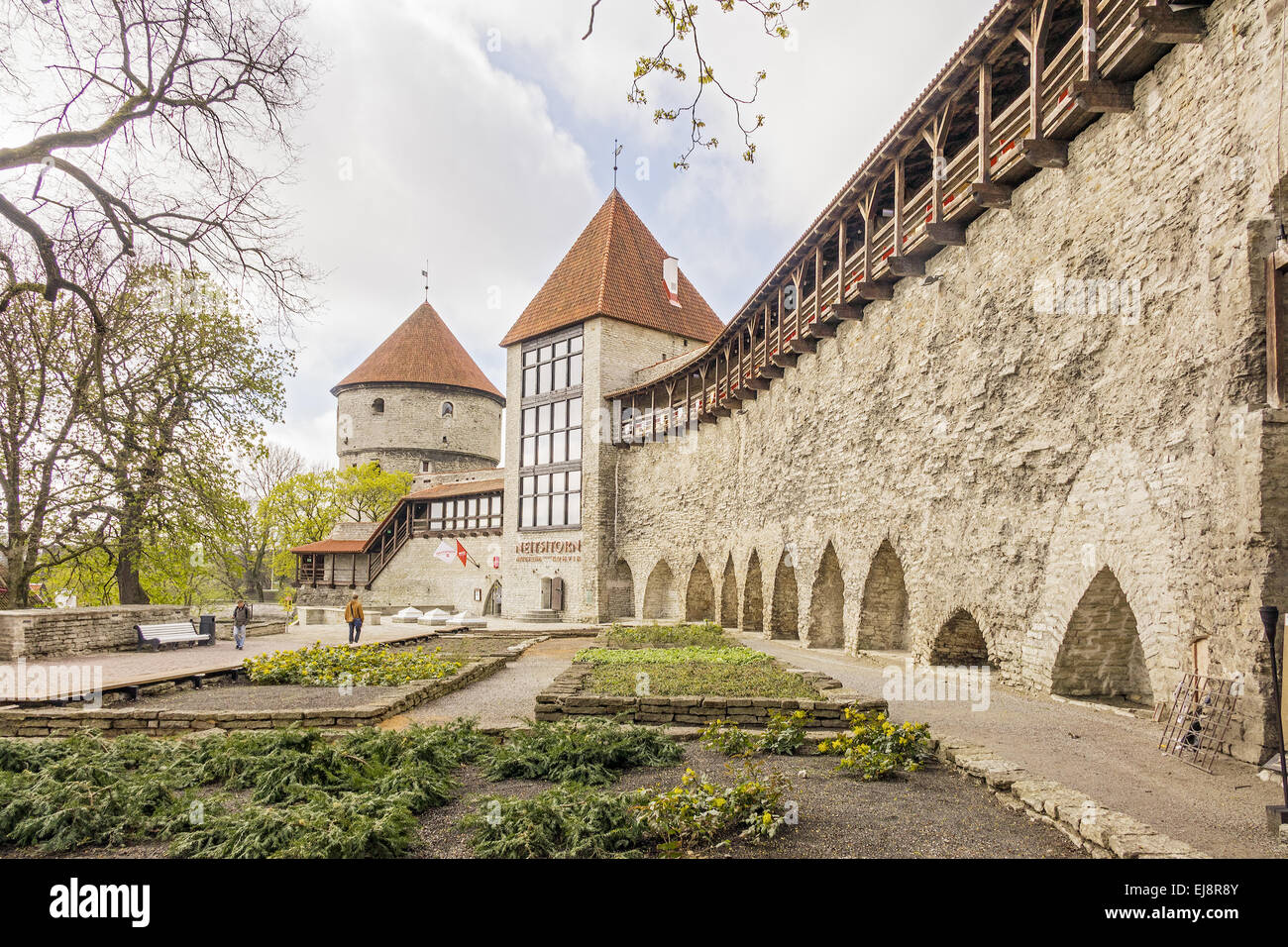 Il Giardino del Re danese Tallinn Estonia Foto Stock