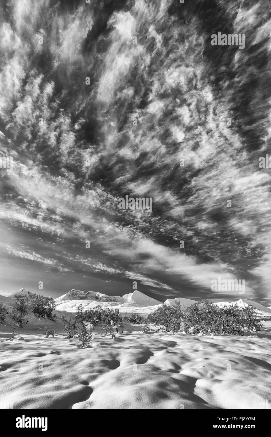 Paesaggio autunnale nella neve, Rondane NP, Norvegia Foto Stock