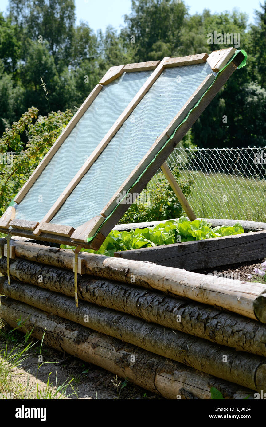 Sollevate il letto fatto ​​of legno con insalata Foto Stock