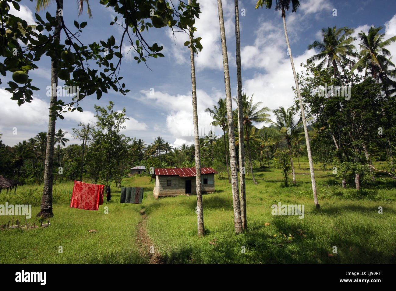 Casa locale con lavaggio, vicino allo stesso, capitale del comune di Manufahi, Timor Est, Asia Foto Stock