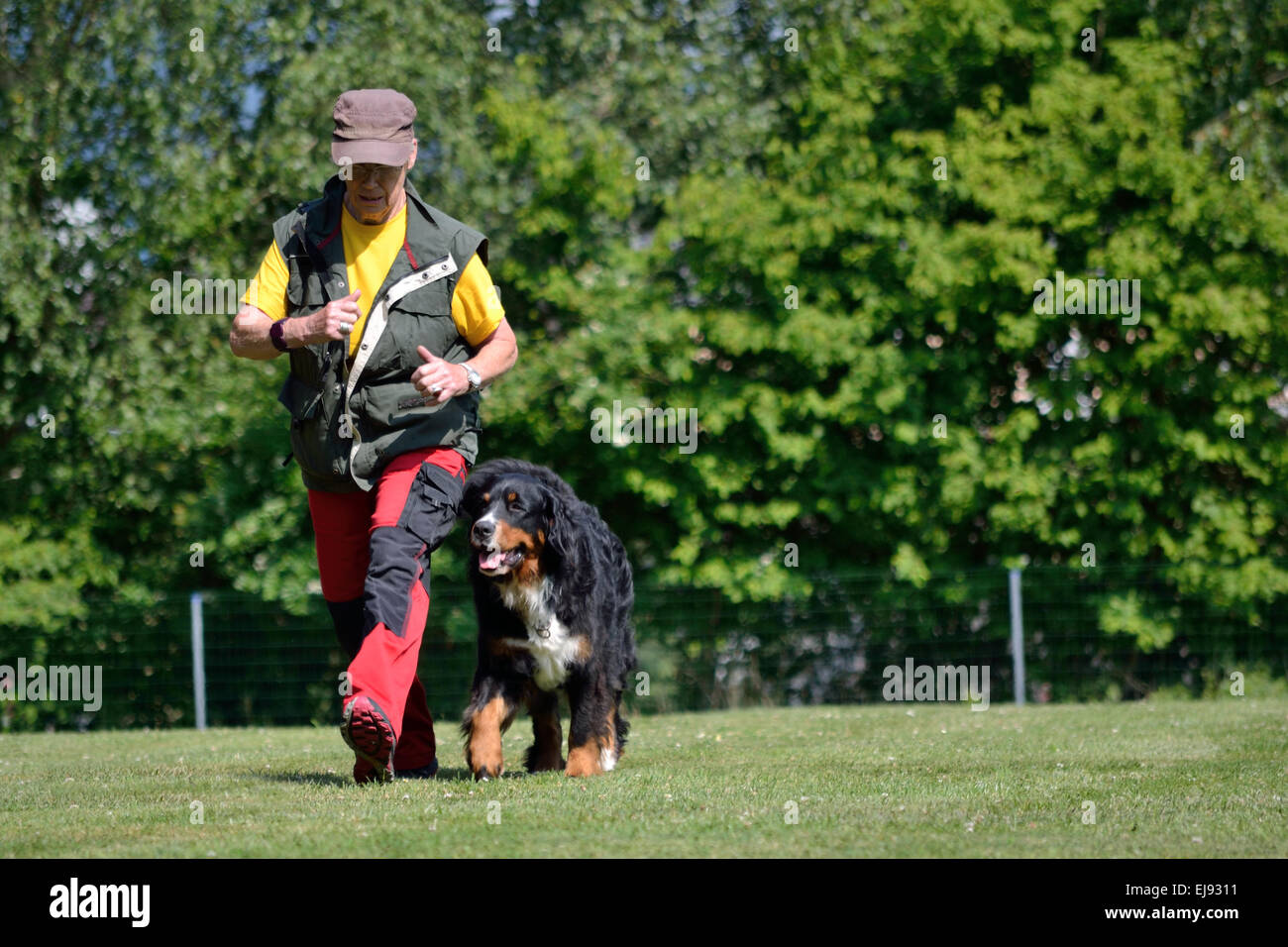 Proprietario del cane al cane formazione Foto Stock