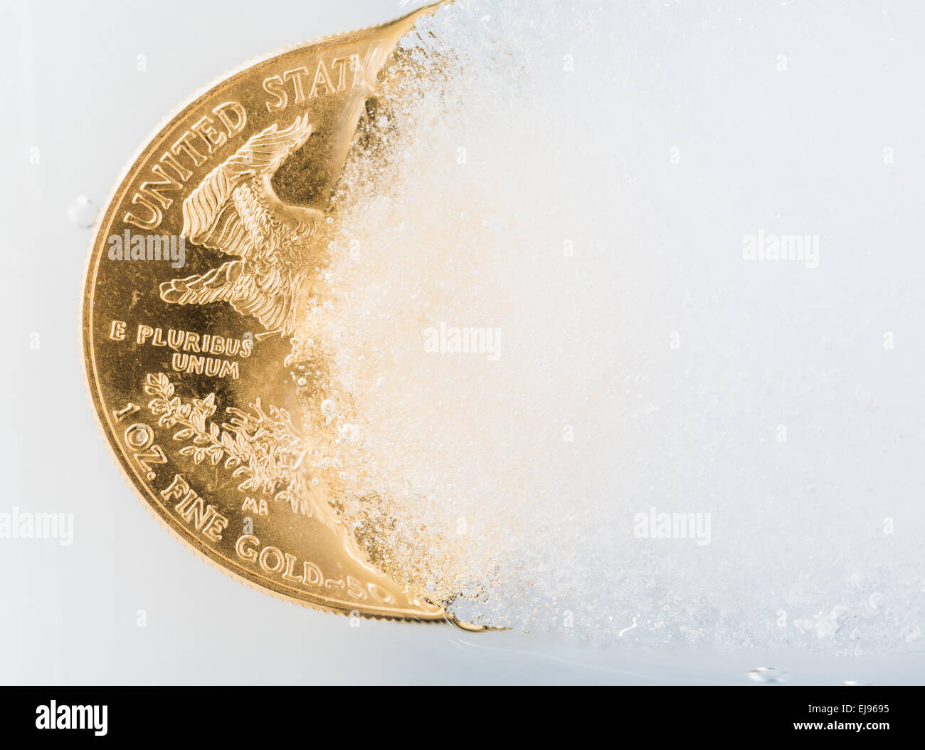 Golden Eagle coin emergente dal Deep Freeze Foto Stock
