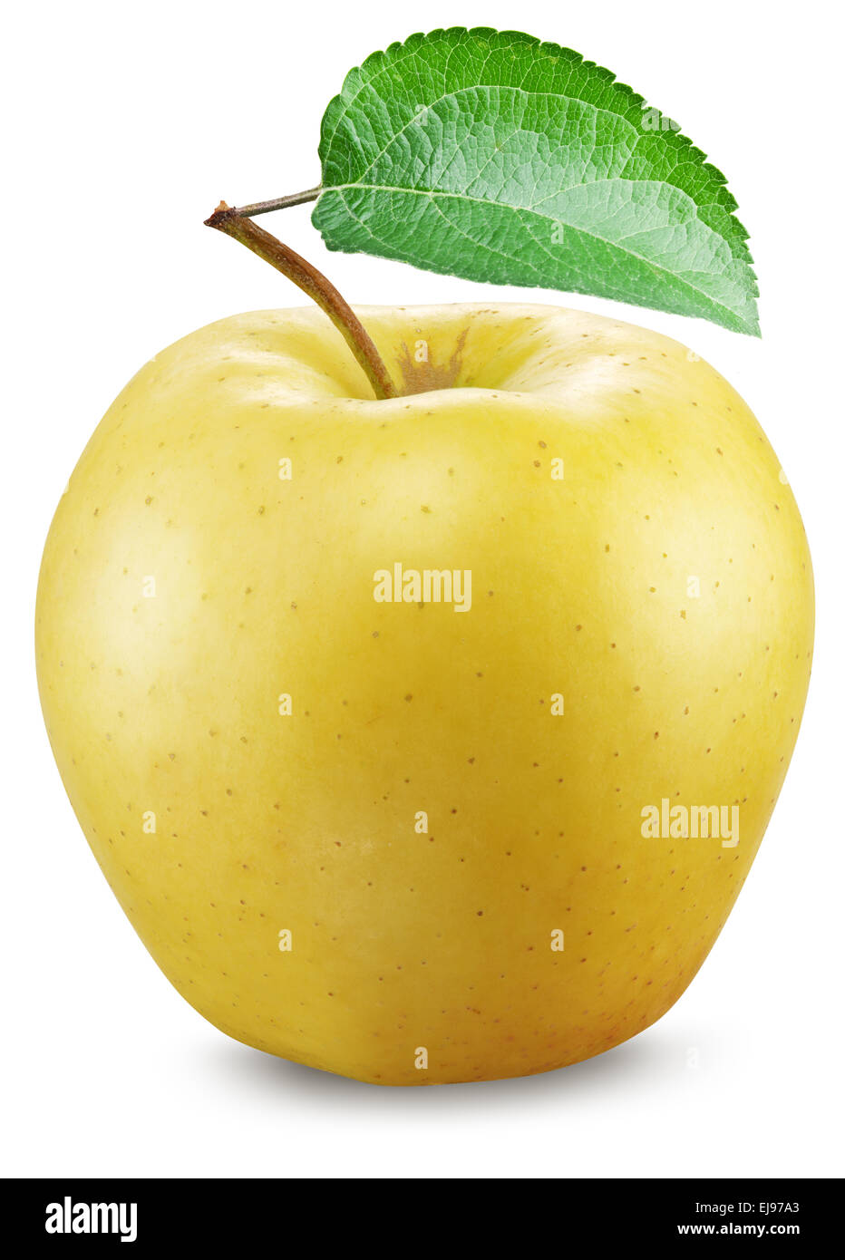 Apple giallo su sfondo bianco. Foto Stock