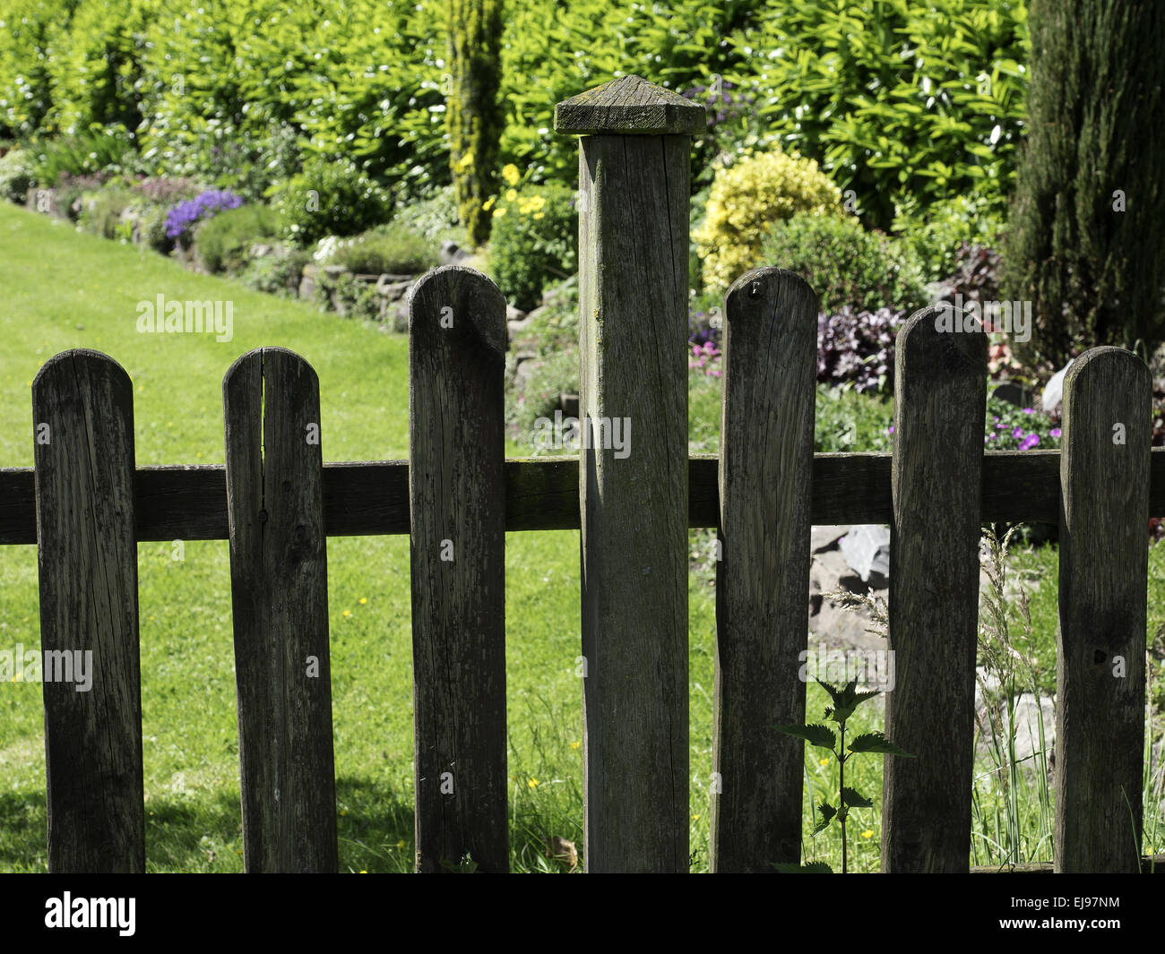 giardino Foto Stock