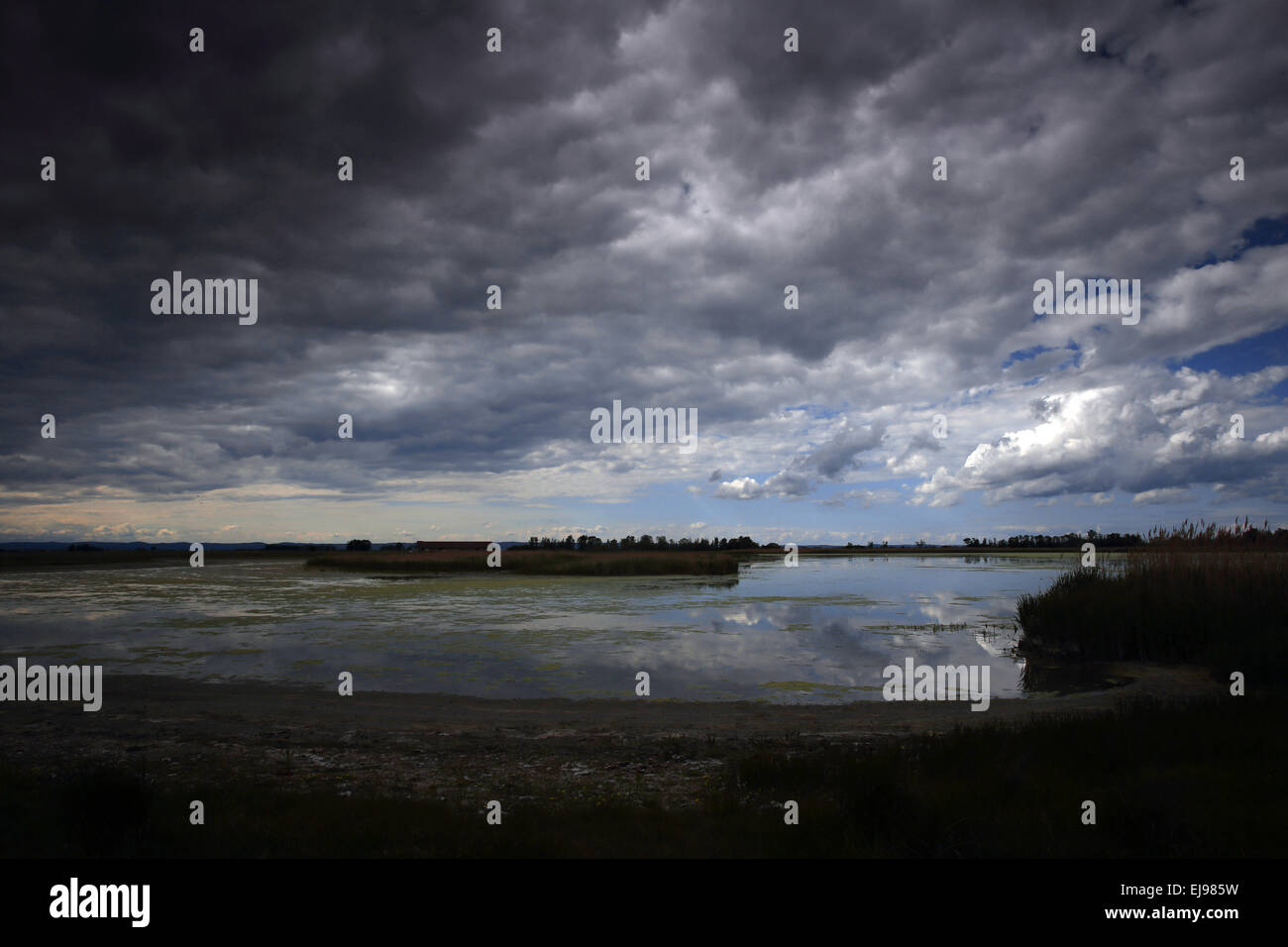 Il lago di Neusiedl National Park, Austria Foto Stock