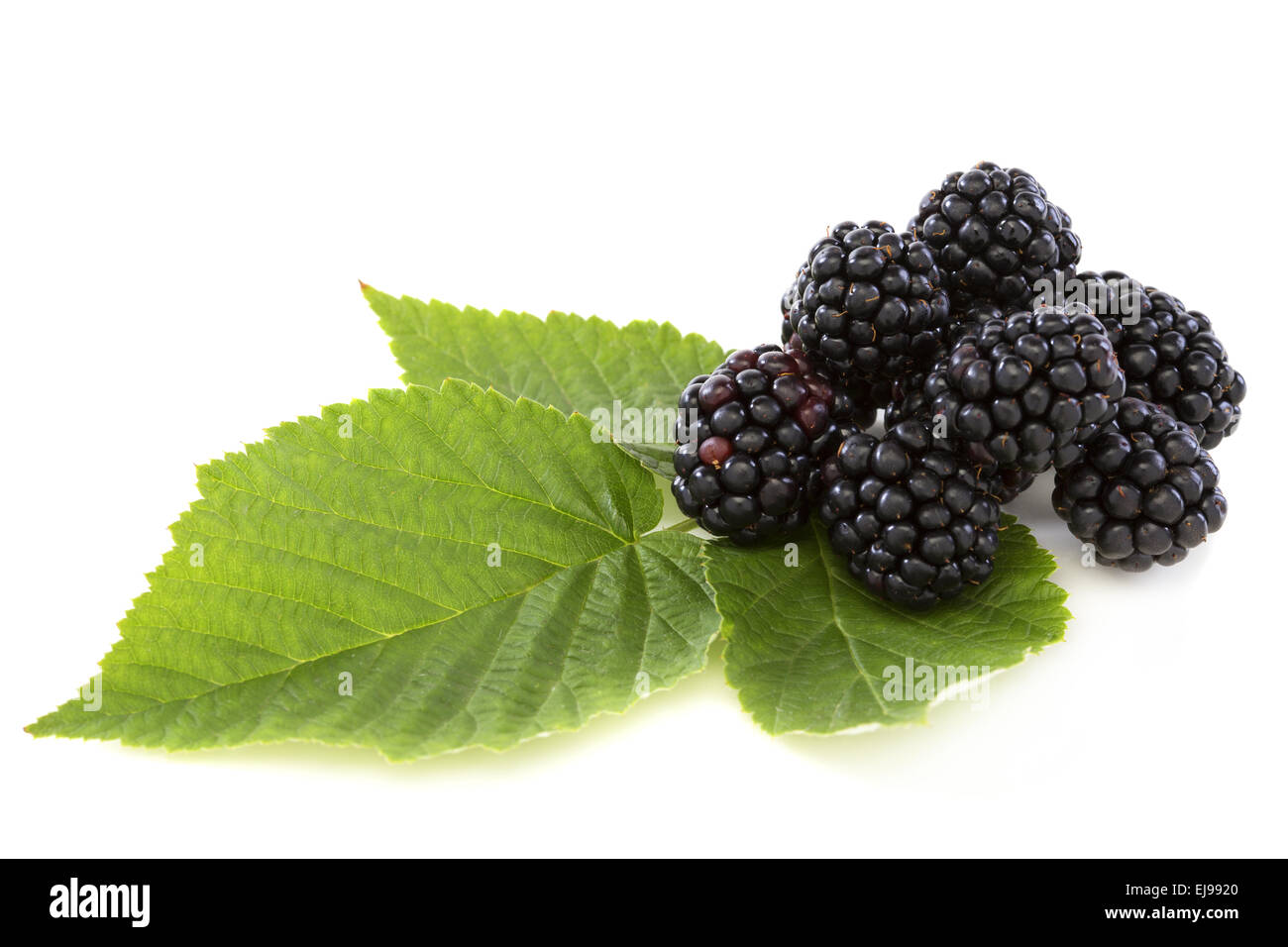 Ripe berry blackberry closeup. Foto Stock