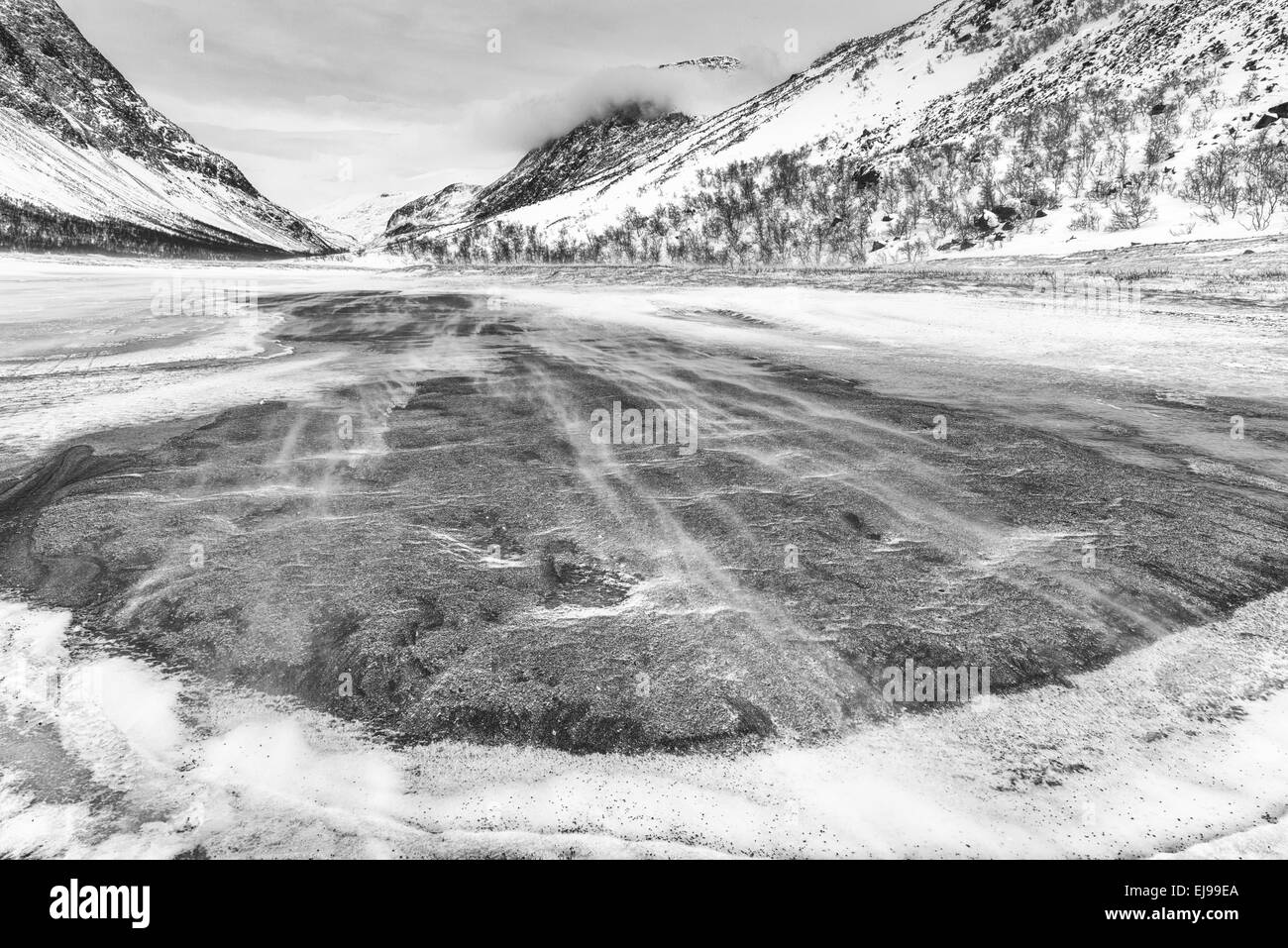 Paesaggio in Vistasdalen, Lapponia, Svezia Foto Stock