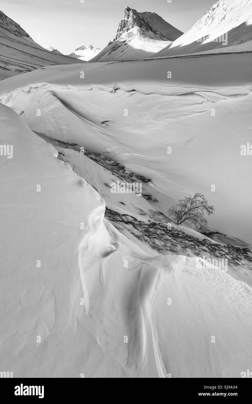 Paesaggio in Stuor Reiaddavaggi, Lapponia, Svezia Foto Stock