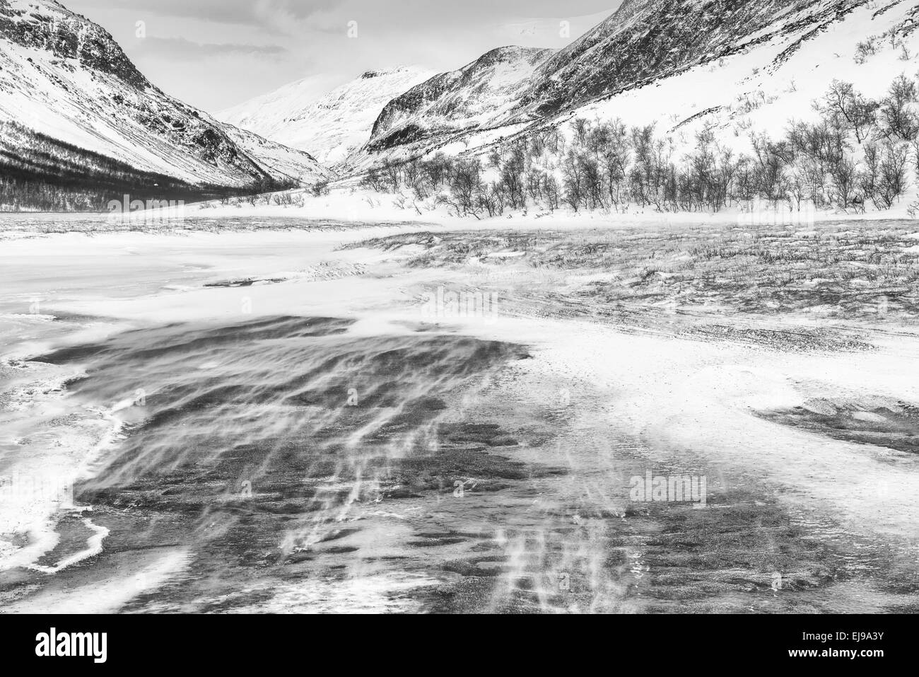 Paesaggio in Vistasdalen, Lapponia, Svezia Foto Stock