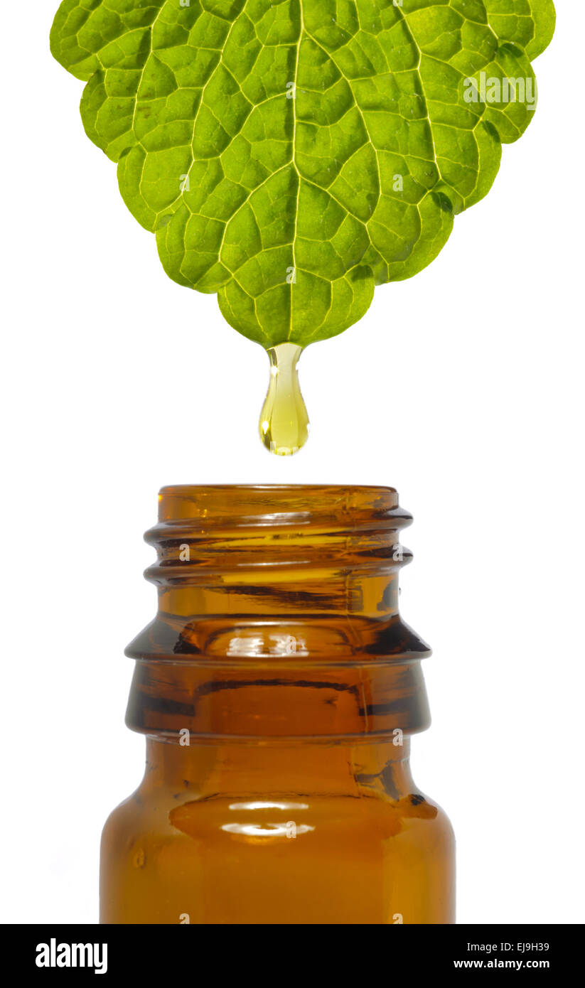 Medicina alternativa con olio a base di erbe Foto Stock