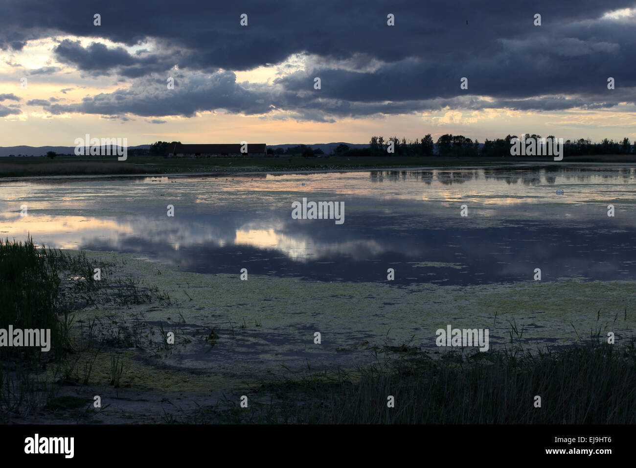 Il lago di Neusiedl National Park, Austria Foto Stock
